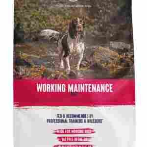 Alpha Adult Maintain Worker Beef